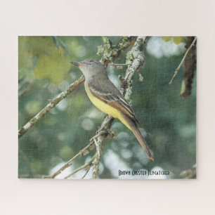 Brown Crested Flycatcher, Vogelliebhaber Puzzle