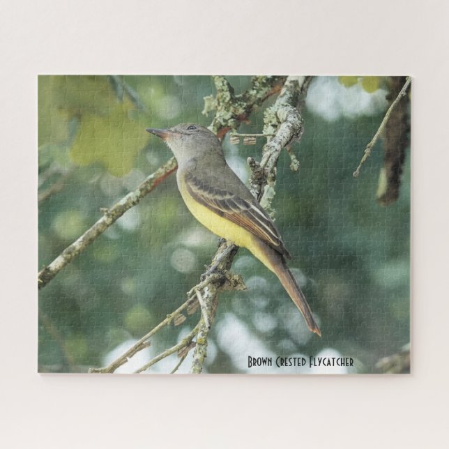 Brown Crested Flycatcher, Vogelliebhaber Puzzle (Horizontal)