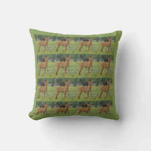 Brown Cria Kissen