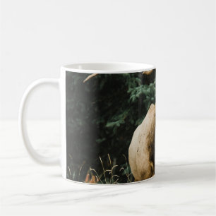 BROWN DEER AUF GRÜNEN GRAS WÄHREND DES TAGES KAFFEETASSE