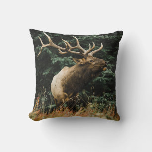 BROWN DEER AUF GRÜNEN GRAS WÄHREND DES TAGES KISSEN
