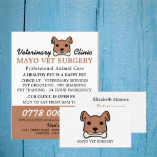 Brown Dog, Veterinary, Veterinary Service Flyer