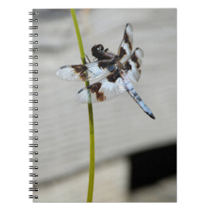 Brown Dragonfly Notebook Journal Notizblock