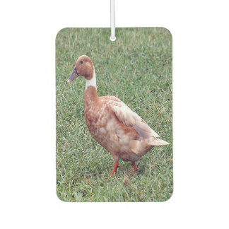 Brown Duck Air Freshener Autolufterfrischer