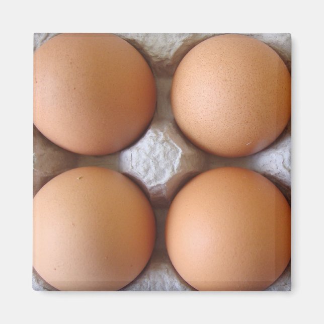 Brown Eggs Magnet (Vorne)