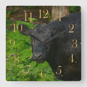 Brown Eyes - Steer and Forest Large Clock Quadratische Wanduhr