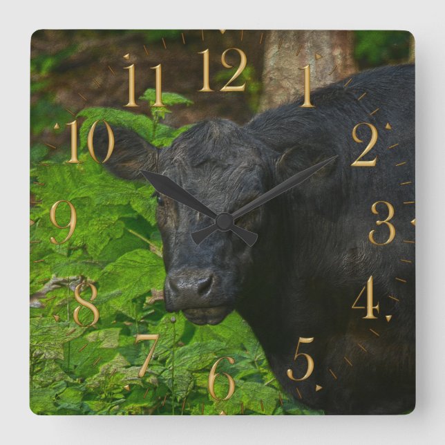 Brown Eyes - Steer and Forest Large Clock Quadratische Wanduhr (Vorderseite)