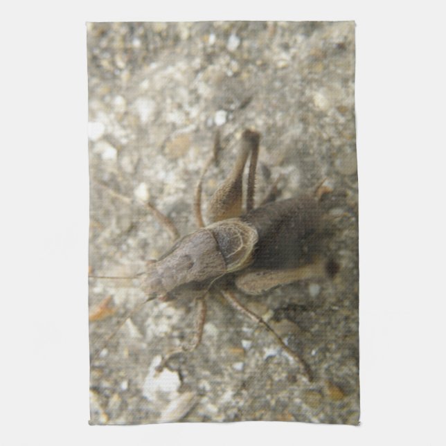 Brown Field Cricket Kitchtuch Geschirrtuch (Vertikal)