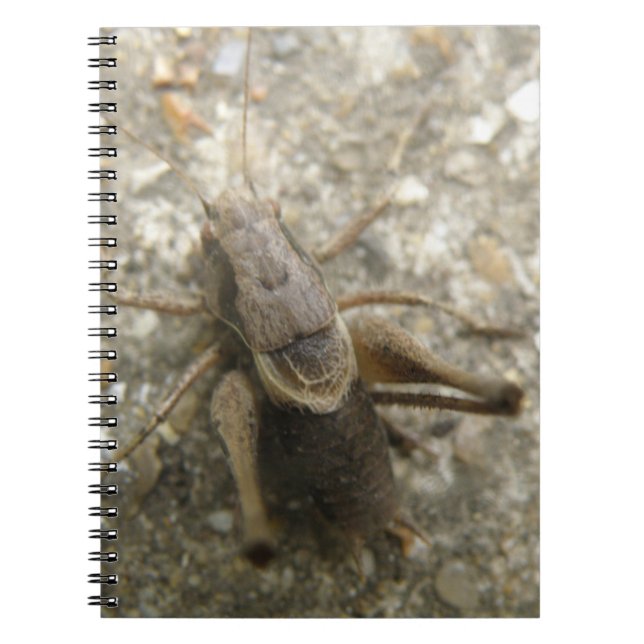 Brown Field Cricket Notebook Notizblock (Vorderseite)