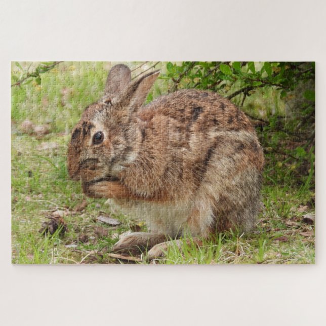 Brown Fluffy wild Bunny Rabbit beten Puzzle (Horizontal)