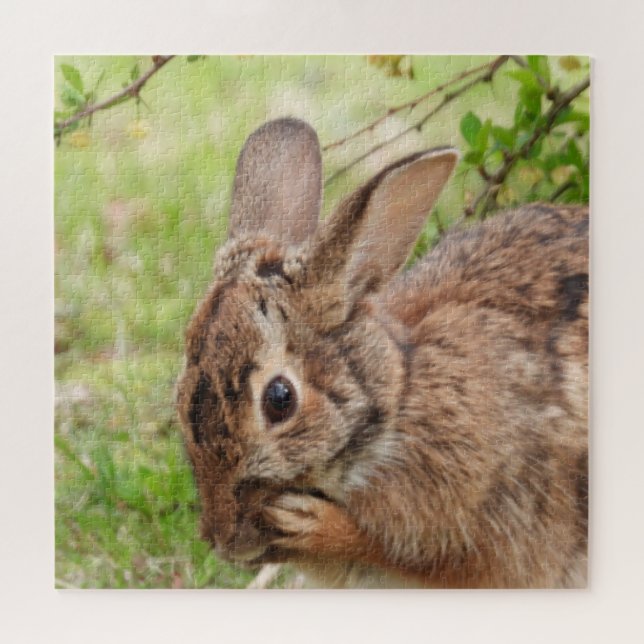 Brown Fluffy wild Bunny Rabbit OH MY Puzzle (Horizontal)