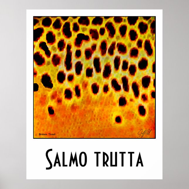 Brown Foreut Poster (Vorne)