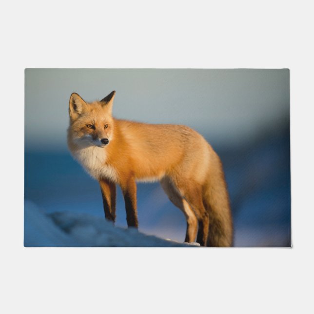 Brown Fox Fußmatte (Vorderseite)