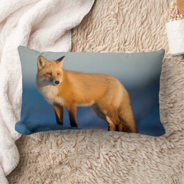 Brown Fox Lumbar Kissen (Decke)
