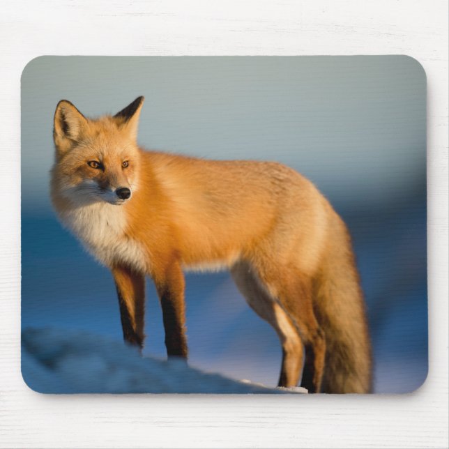 Brown Fox Mousepad (Vorne)