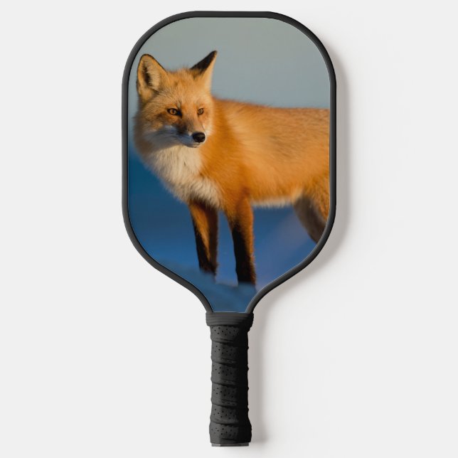 Brown Fox Pickleball Schläger (Vorderseite)