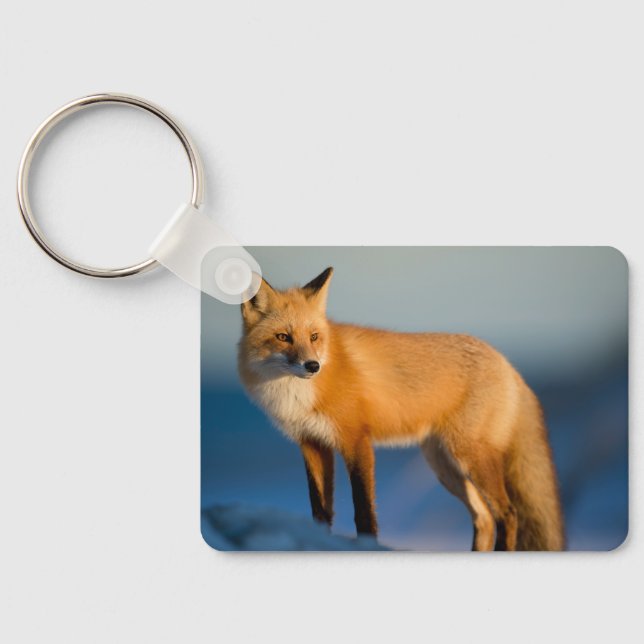 Brown Fox Schlüsselanhänger (Rückseite)