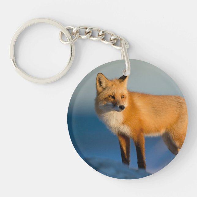 Brown Fox Schlüsselanhänger (Vorderseite)