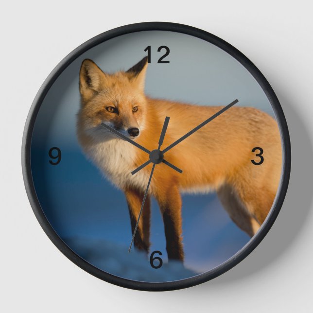 Brown Fox Uhr (Vorderseite)