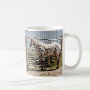 Brown gepunktetes Appaloosapferd Kaffeetasse
