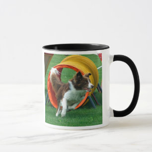 Brown-Grenzcollie-Agility-Tunnel Tasse