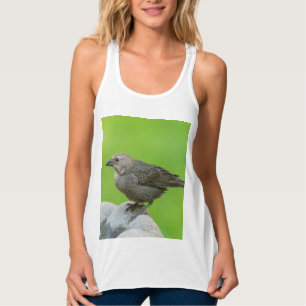 Brown Headed Cowbird Tank Top