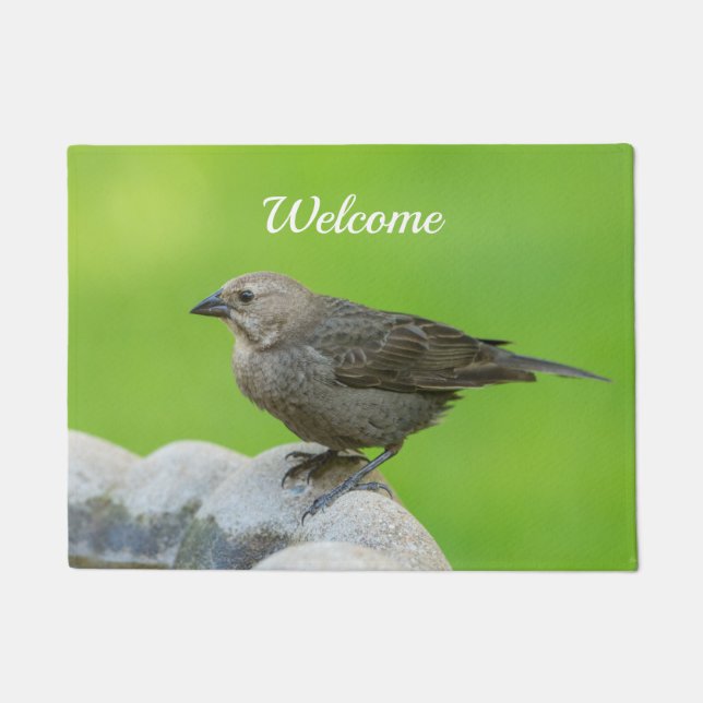 Brown Headed Cowbird Willkommen Doormat Fußmatte (Vorderseite)