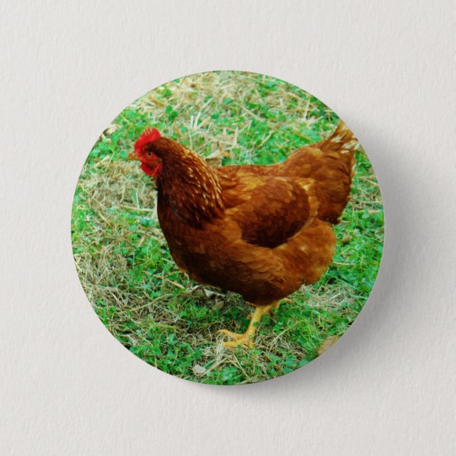 Brown Hen Button (Vorderseite)