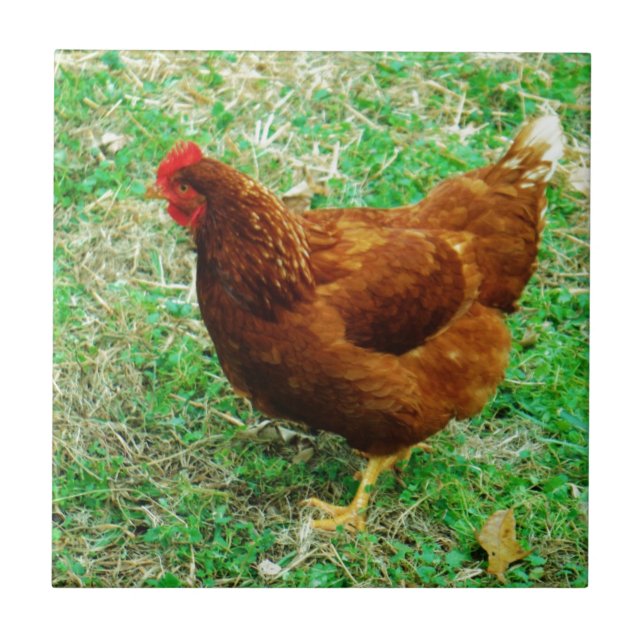 Brown Hen Fliese (Vorderseite)