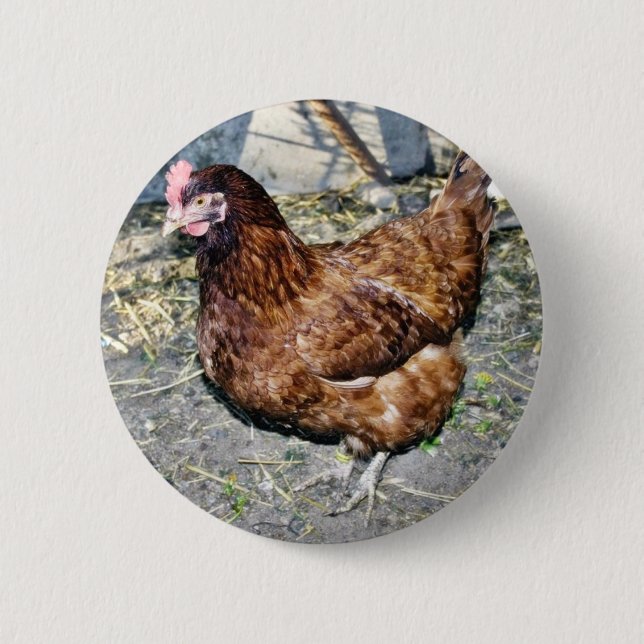 Brown-Henne auf dem Hinterhof Button (Vorderseite)
