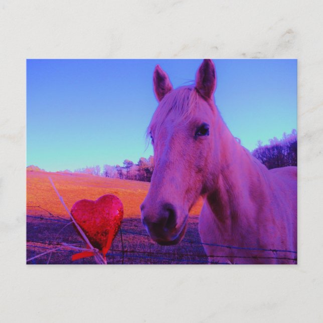 Brown Horse and Red Heart Postkarte (Vorderseite)