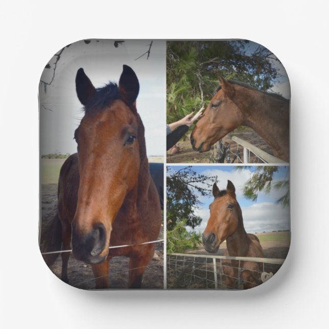 Brown Horse Foto Collage, Paper Tellers Pappteller (Vorderseite)