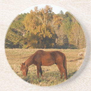 Brown horse in yellow tree field untersetzer