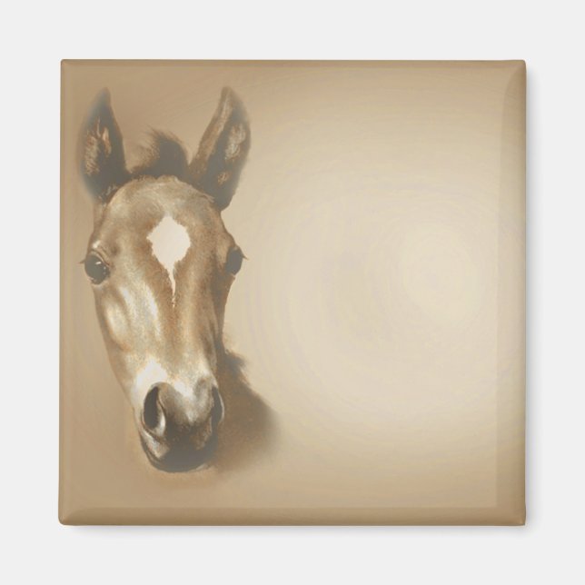BROWN-HORSE MAGNET (Vorne)