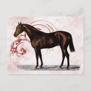 Brown Horse Postkarte