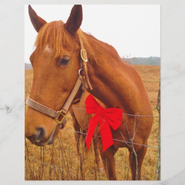 Brown Horse Red Bow (Vorderseite)