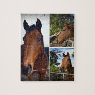 Brown Horses Foto Collage, Puzzle