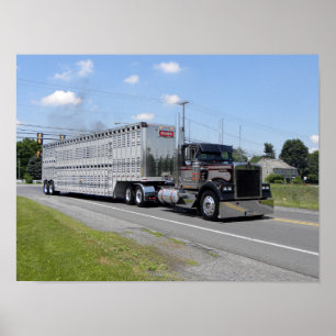 Brown Kenworth W900B Poster