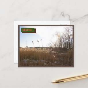 Brown Kittery Seapoint Beach Maine Nature Postkarte