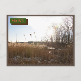 Brown Kittery Seapoint Beach Maine Nature Postkarte