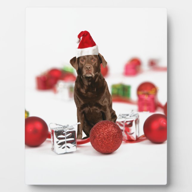 Brown Labrador Dog Christmas w Geschenke Weihnacht Fotoplatte (Vorderseite)