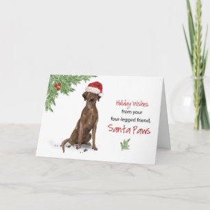 Brown Labrador Retriever Christmas From Dog in Fun Karte