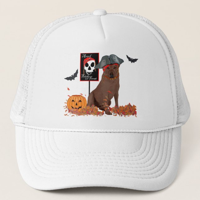 Brown Labrador Retriever Pirate Truckerkappe (Vorderseite)