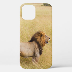 BROWN LION ON ON GRASS FIELD WÄHREND DES TAGES Case-Mate iPhone HÜLLE