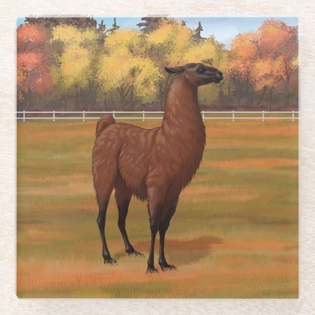 Brown Llama im Herbstweide Glasuntersetzer (Vorderseite)
