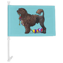 Brown-Löwe-portugiesischer Wasser-Hund mit