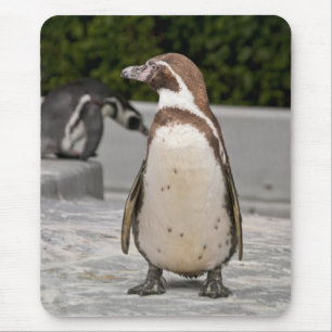 Brown Magellanic Pinguin Mousepad