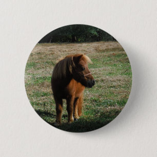 Brown Miniature Horses Button