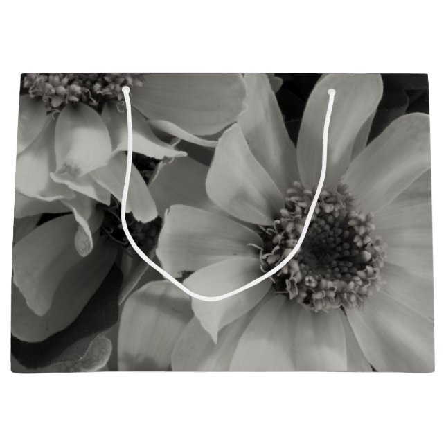 Brown Mit Augen Susan Blume Große Geschenktüte (Vorderseite)