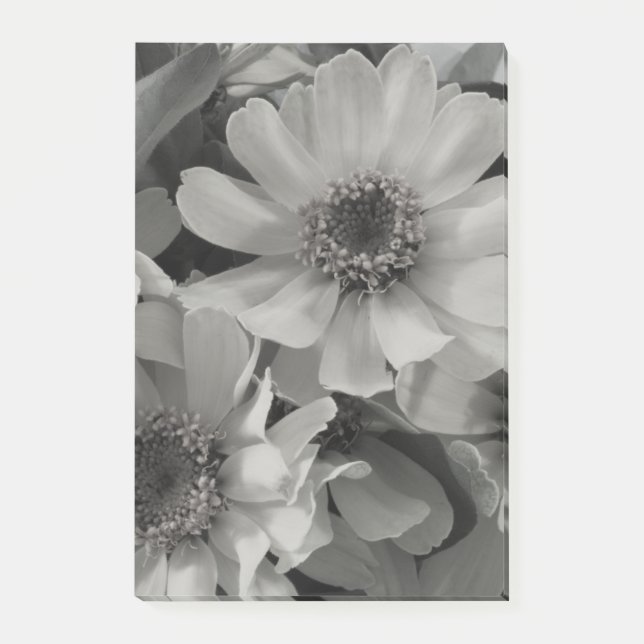 Brown Mit Augen Susan Blume Post-it Klebezettel (Vorderseite)